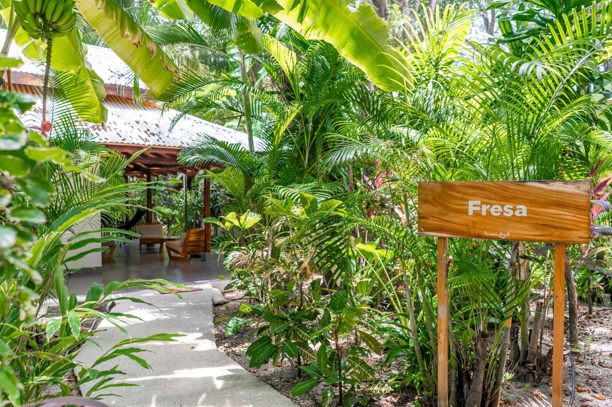 Banana Beach Bungalows Playa Santa Teresa  외부 사진